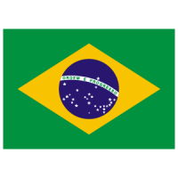 Download Flag of Brazil vector