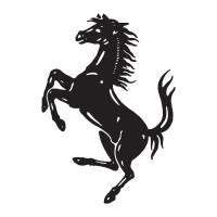 Ferrari black