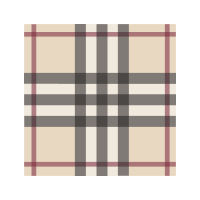 Burberry pattern logo vector