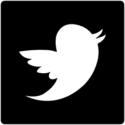Twitter logo bird shape in a square Twitter logo bird shape in a square