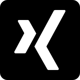 Xing logo Xing logo