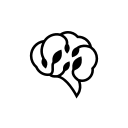 Neuronature logo Neuronature logo