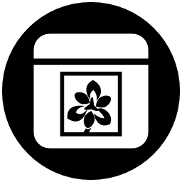 Pinstagram logo Pinstagram logo